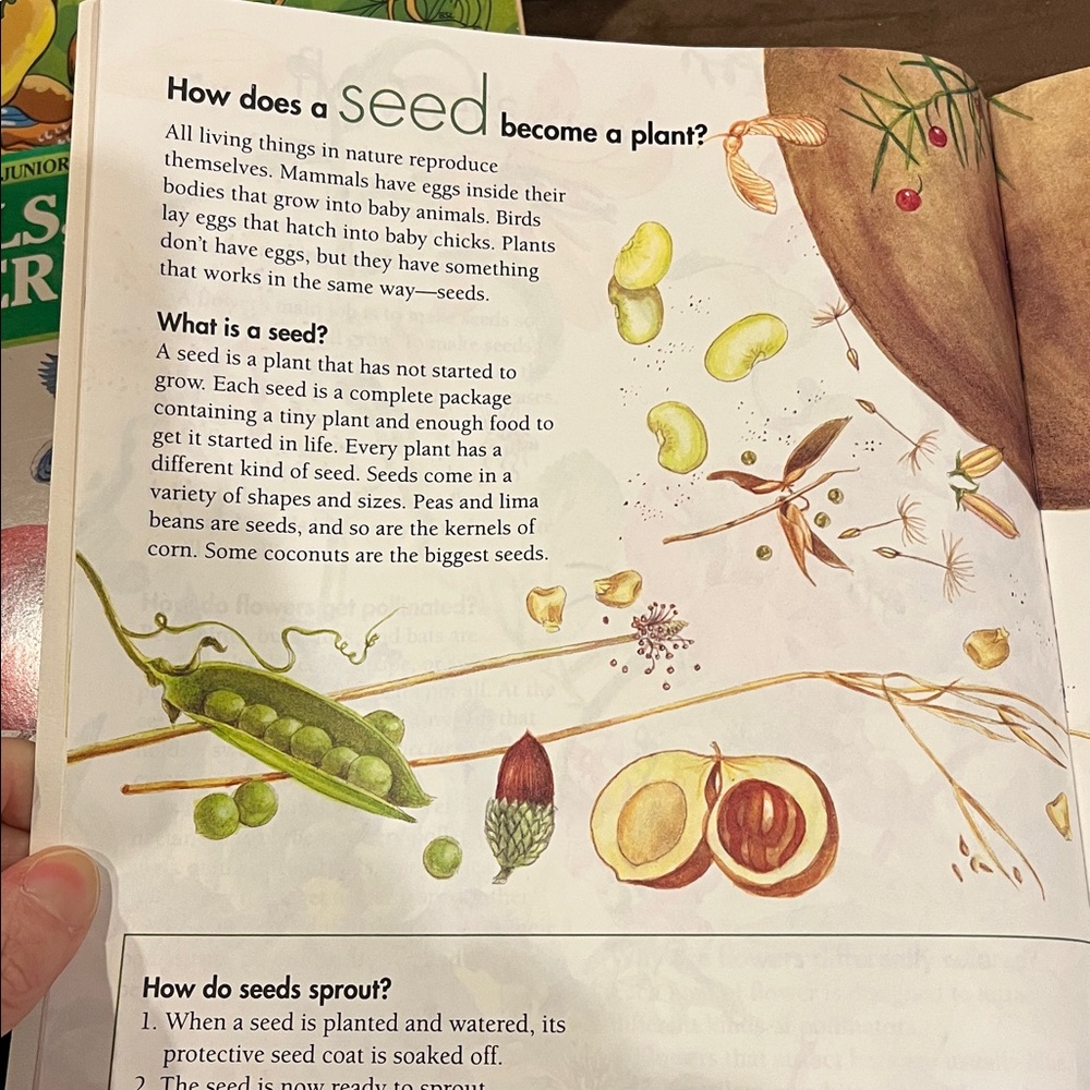 Bird and Rainforest Book Set - Picture 3 of 15